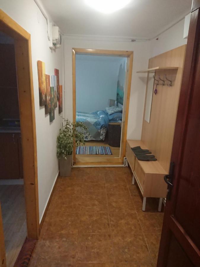 Katy'S Studio Appartement Braşov Buitenkant foto